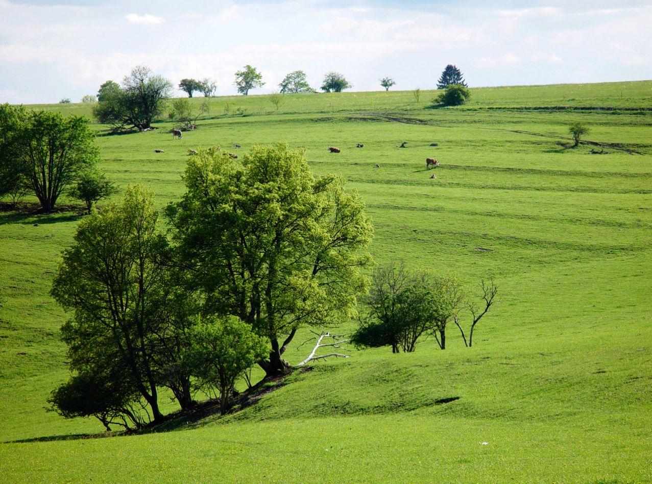 Landschaft