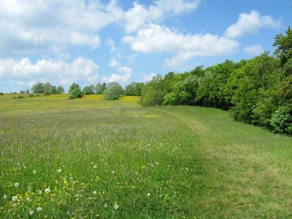 Frühling im Naturschutzgebiet Hülenbuch