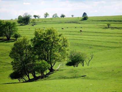 Landschaft